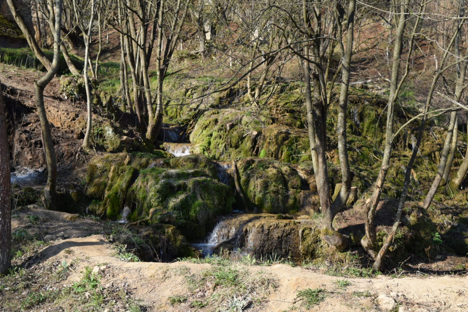 Таорско врело, јутарње издање