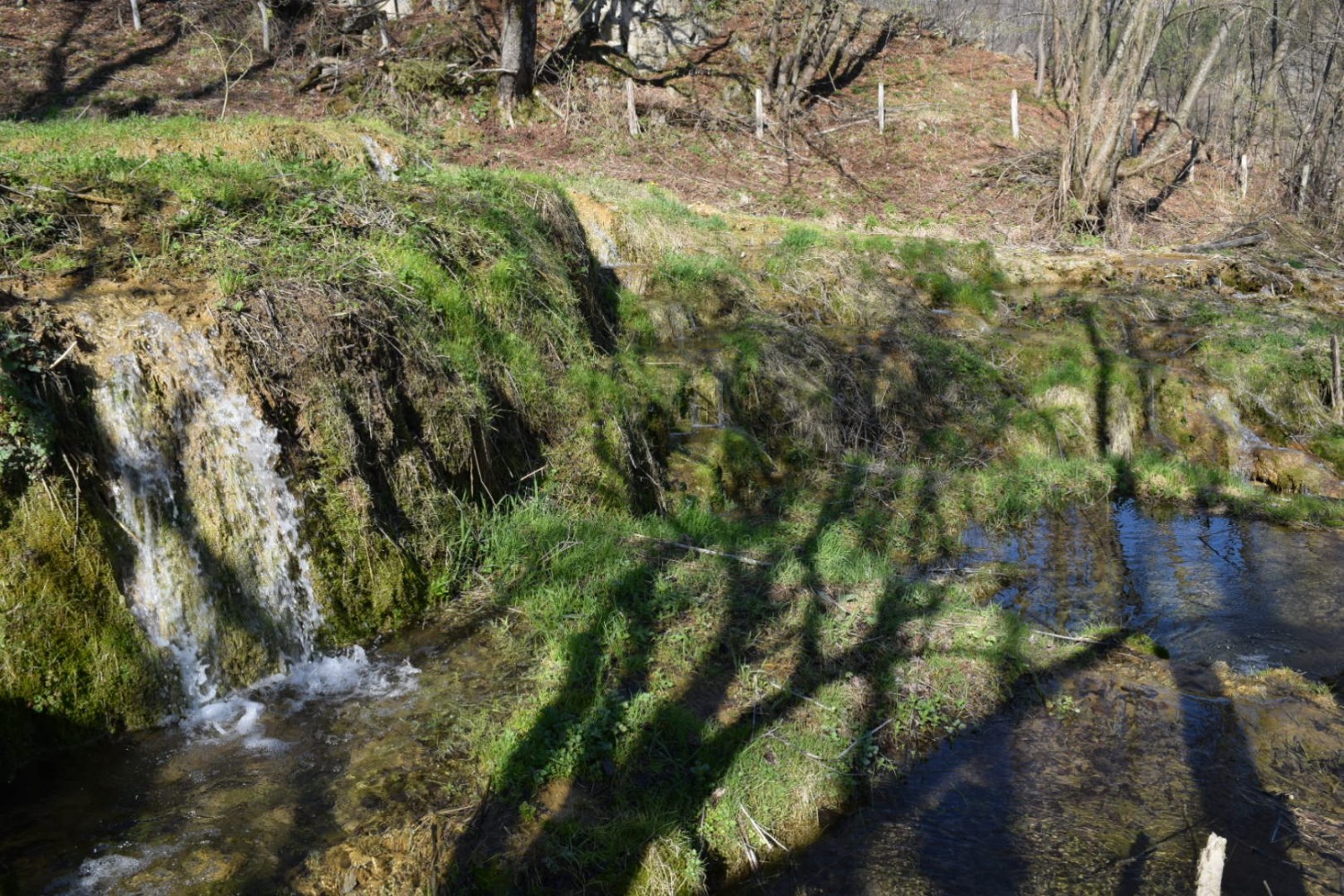 Таорско врело, јутарње издање