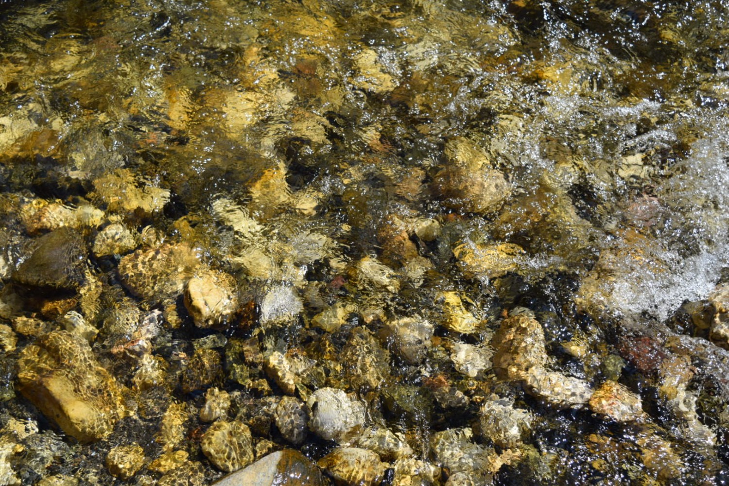 Вода и корито речце Скрапеж